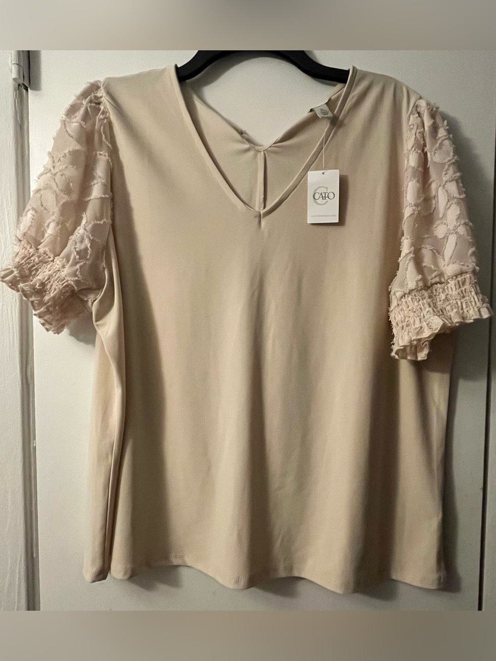 Cato Cream V-Neck Blouse with Textured Puff Sleeves